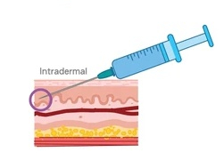 How Effective Is Liliid Skin Booster for Fine Wrinkles? image 11