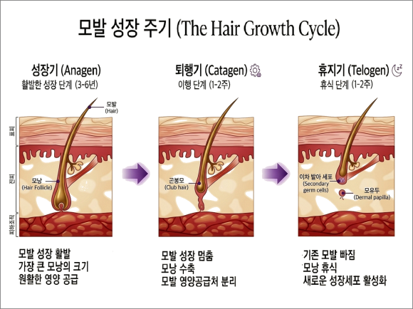 Jamsil Underarm Hair Removal: Most People Don’t Know This, So They Don’t See Results image 3