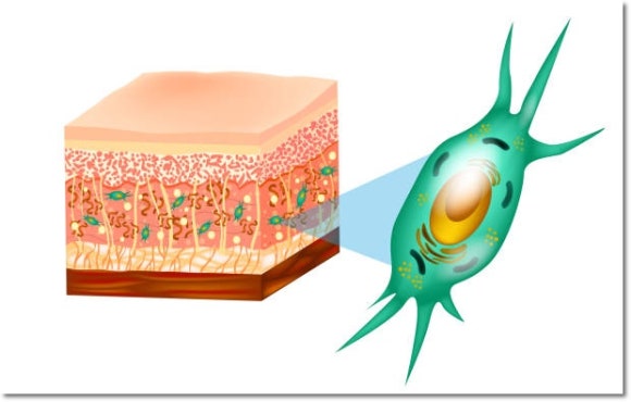 How Effective Is Liliid Skin Booster for Fine Wrinkles? image 4