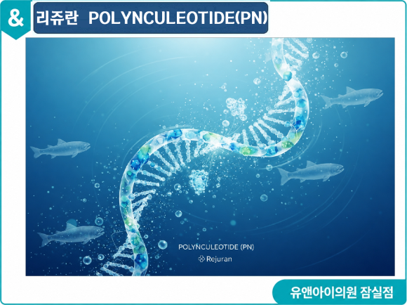 Seokchon Gobun Station Dermatology Clinic, Curious About the Combination of Rejuran and Juvelook? image 2