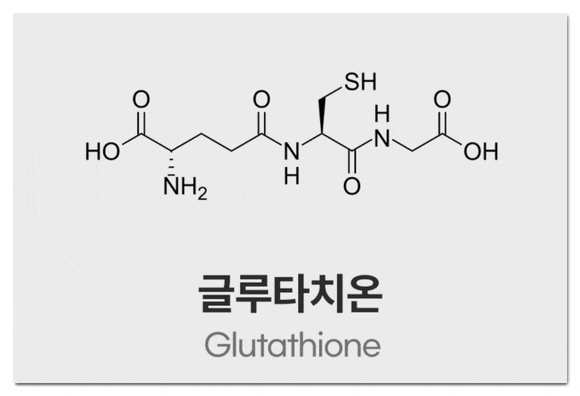 백옥주사 글루타치온 효능은? <부작용을 최소화하는 미백관리> 관련 이미지 3