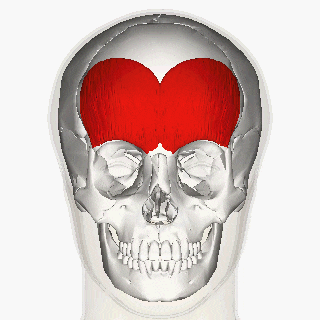얼굴 찢어진 상처 봉합 & 얼굴 흉터 레이저 성형외과 치료 사례 - 이마 상처 (1) 편입니다. 관련 이미지 1