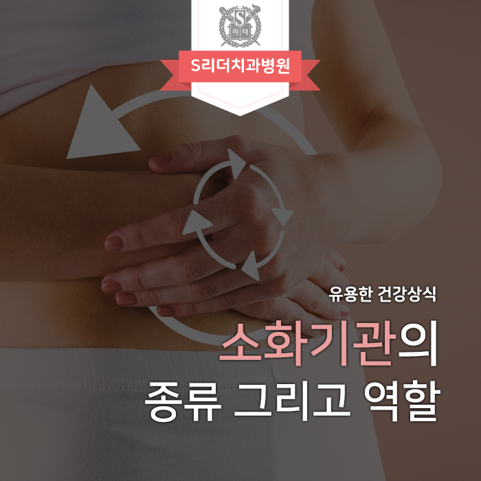 소화기관 역할에 대해서 분류하고 알아보기 관련 이미지 1