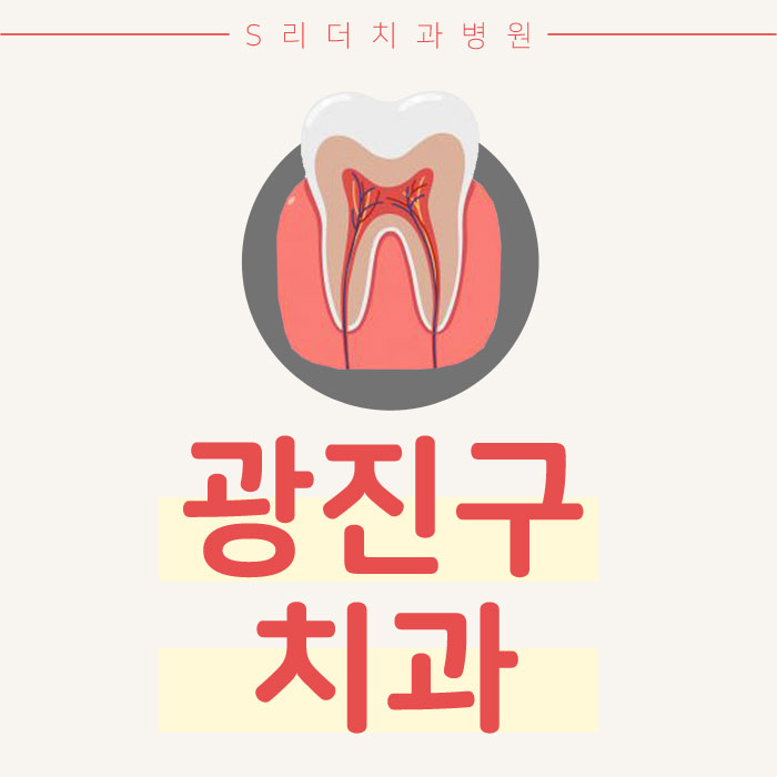 광진구치과잘하는곳에서 알려드리는 치아의구조 관련 이미지 1
