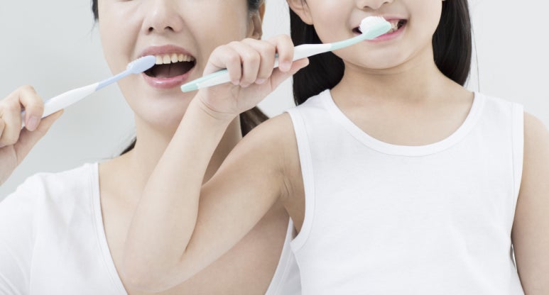 유치열기는 언제부터 언제까지의 기간을 말하나요? 관련 이미지 4