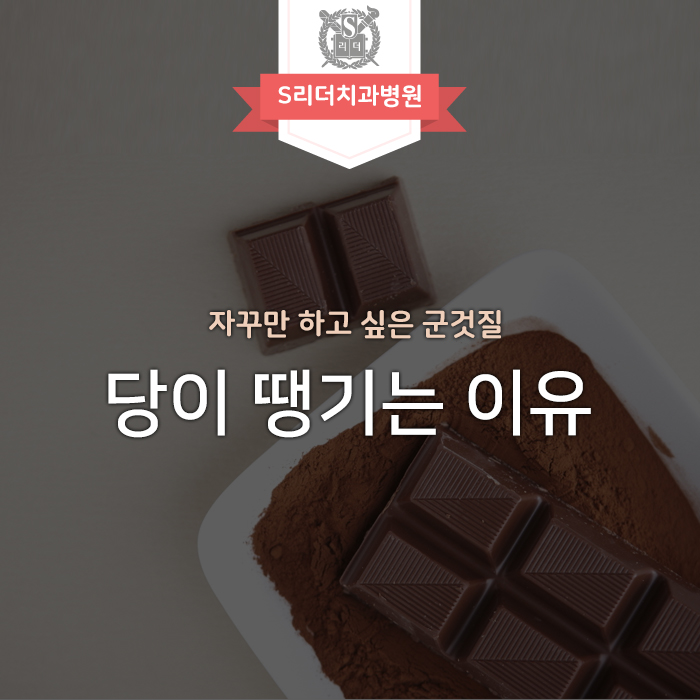 당이 땡기는 이유 과학적으로 알아볼까요? 관련 이미지 1