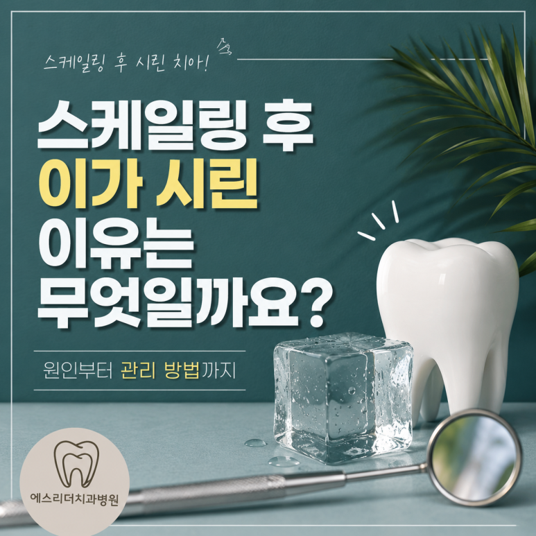 Mangwoo-dong Dental Clinic: Why Are Your Teeth Sensitive After Scaling? From Causes to Care Methods image 1