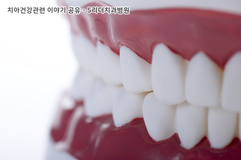 치아건강관리에서 식생활이 무엇보다 중요한 이유 관련 이미지 6