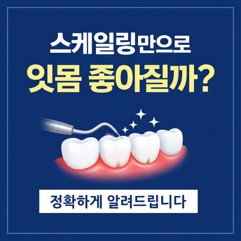장한평역치과에서 알려드리는 스케일링 효과, 잇몸 개선 어디까지 가능할까? 관련 이미지 1