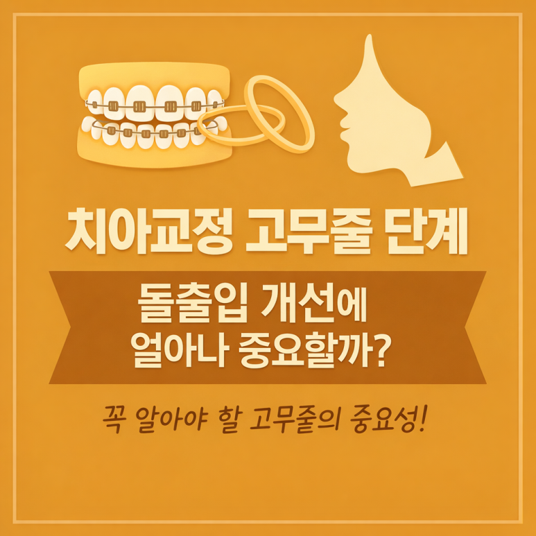 Gwangjin-gu Dental Clinic Recommendation: How Important Is the Elastic Stage in Orthodontic Treatment for Improving Protruding Mouths? image 1