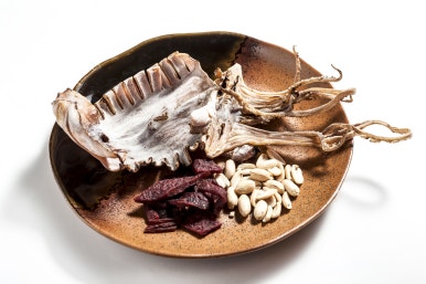 [Seongsu-dong Dental Clinic] What Foods Should You Eat During Orthodontic Treatment? image 3