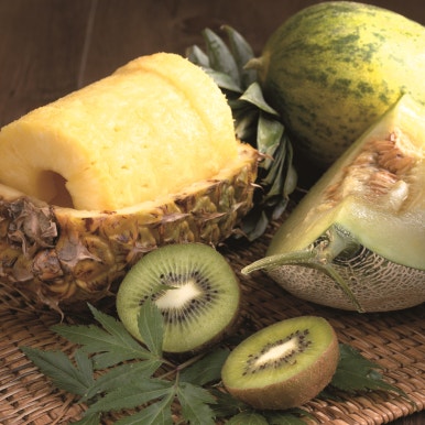 [Seongsu-dong Dental Clinic] What Foods Should You Eat During Orthodontic Treatment? image 6