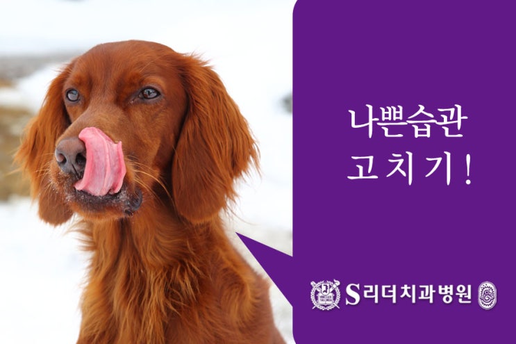 광진구치과 최적의 치아교정 시기 정답은? 관련 이미지 5