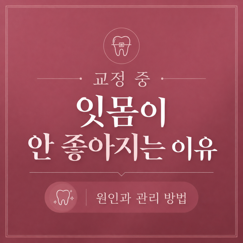 서울치아교정잘하는곳|교정 중 잇몸이 안 좋아지는 원인과 관리법 관련 이미지 1