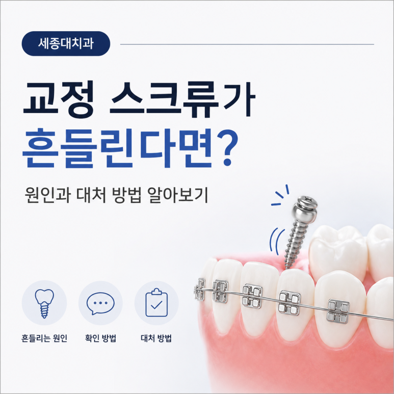 세종대치과｜What If an Orthodontic Screw Feels Loose? Causes and How to Respond image 1