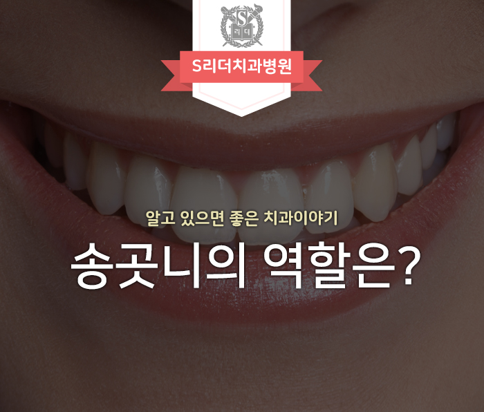 송곳니 역할은 무엇일까? 송곳니의 중요성! 관련 이미지 1