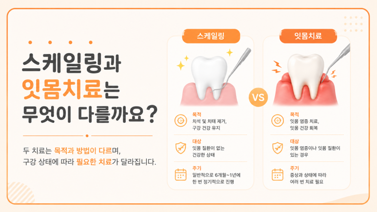 Tooth Sensitivity After Scaling? Could It Be a Sign That You Need Gum Treatment? | 서울야간치과 에스리더치과병원 image 5