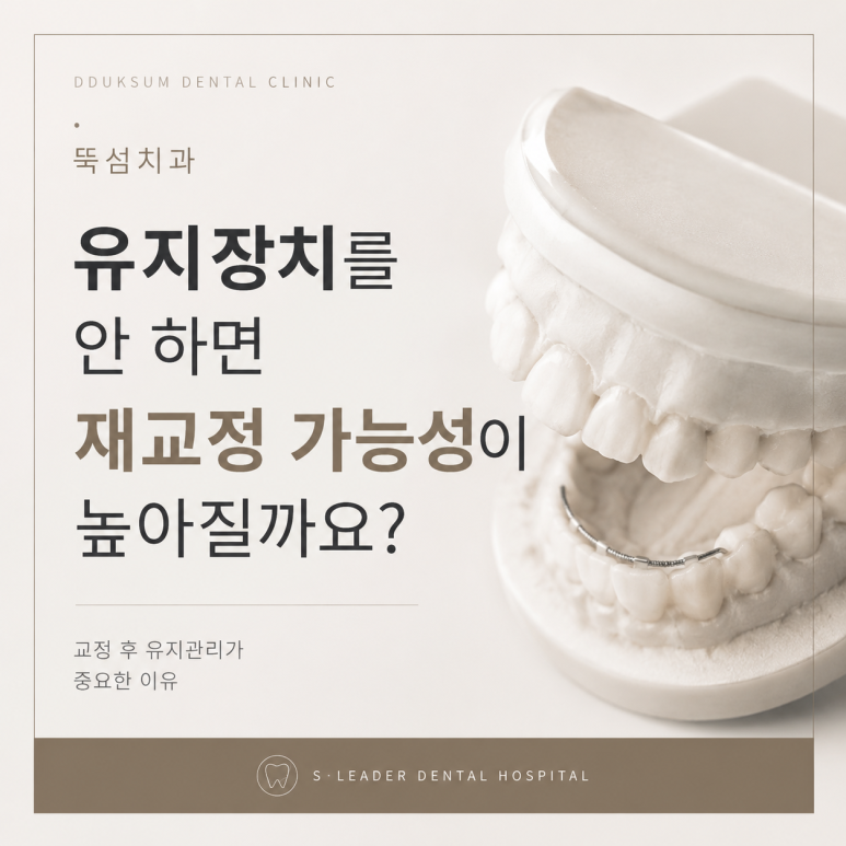 Ttukseom Dental Clinic|Does Not Wearing a Retainer Increase the Likelihood of Needing Orthodontic Retreatment? image 1