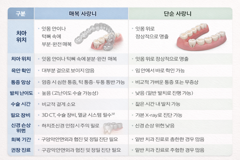 Impacted Wisdom Teeth vs. Simple Wisdom Teeth Explained by Janghanpyeong Station Dental Clinic: Why the Extraction Method Is Different image 3