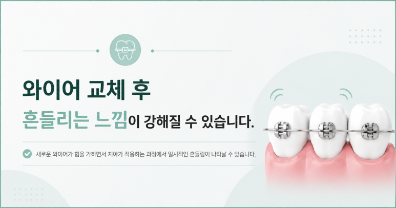 군자동치과 교정 중 치아가 흔들리는 느낌이 드는 이유 관련 이미지 6