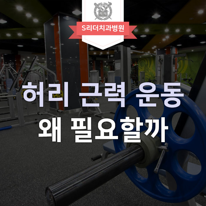 허리의 근육을 강하게 하는 허리 근력운동법의 필요성 관련 이미지 1