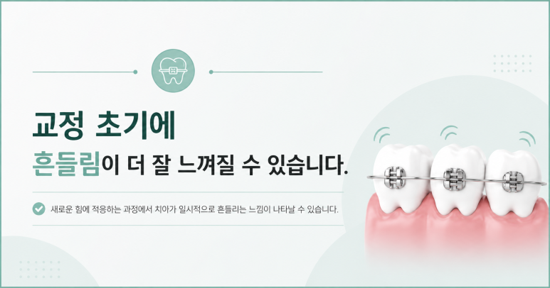 군자동치과 교정 중 치아가 흔들리는 느낌이 드는 이유 관련 이미지 5