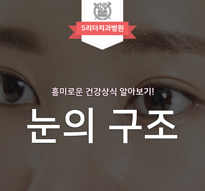 눈의 구조, 흥미로운 건강상식 알아보세요! 관련 이미지 1