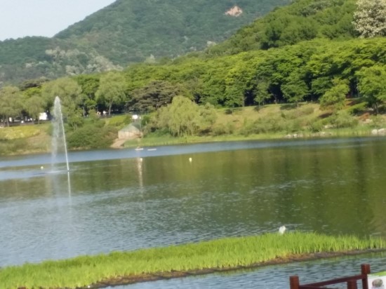강아지하고 산책했던 오늘 관련 이미지 1