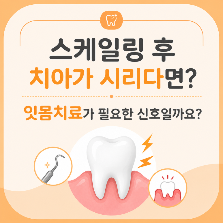 Tooth Sensitivity After Scaling? Could It Be a Sign That You Need Gum Treatment? | 서울야간치과 에스리더치과병원 image 1