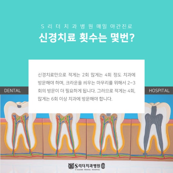 신경치료 통증! 충치 크라운진료 해야할까 관련 이미지 4