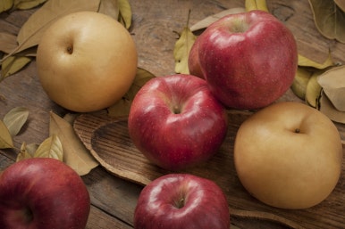 [Seongsu-dong Dental Clinic] What Foods Should You Eat During Orthodontic Treatment? image 5