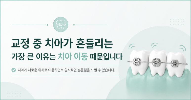 군자동치과 교정 중 치아가 흔들리는 느낌이 드는 이유 관련 이미지 4