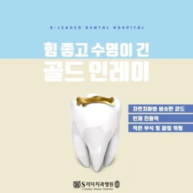 성동구치과 보철물탈락원인 대처법 에스리더치과병원에서! 관련 이미지 4