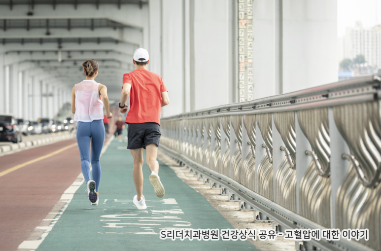 고혈압 검사와 전단계 백의 고혈압 모두 알아보기! 관련 이미지 3