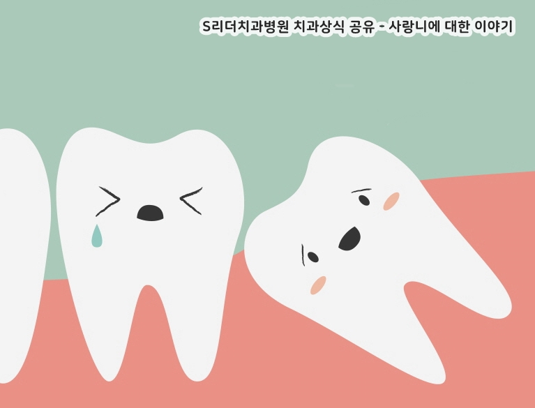 사랑니 필요성 사랑니는 쓸모없는 치아가 아니다? 관련 이미지 2