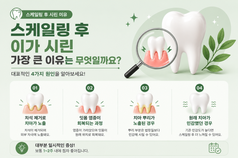 Mangwoo-dong Dental Clinic: Why Are Your Teeth Sensitive After Scaling? From Causes to Care Methods image 3