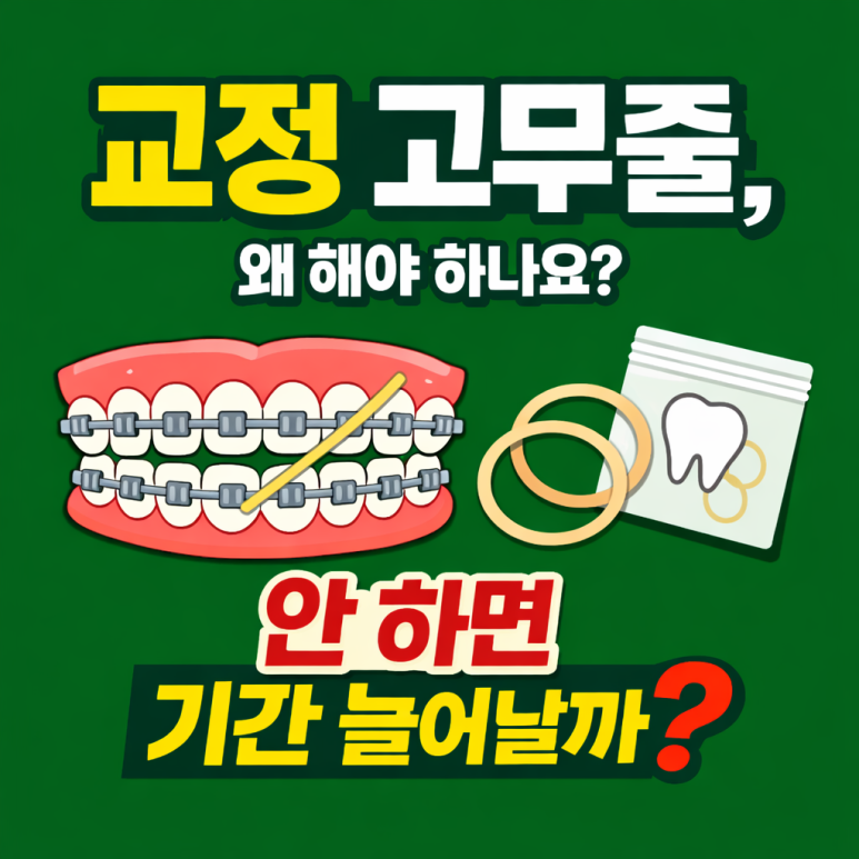 The Importance of Orthodontic Rubber Bands, and What Changes Happen If You Don’t Use Them? — Explained by a Seongdong-gu Dental Clinic image 1