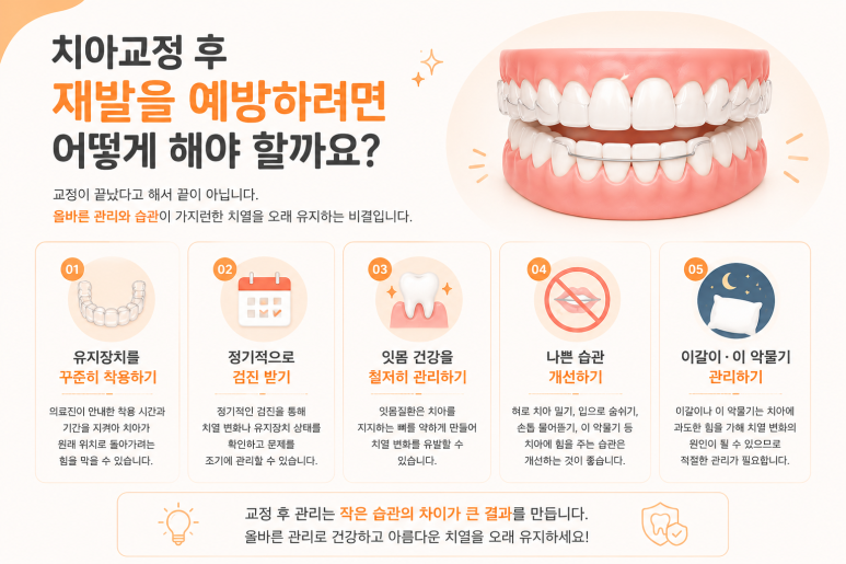 Achasan Station Dental Clinic: Why Do Teeth Shift Again After Orthodontic Treatment? image 7