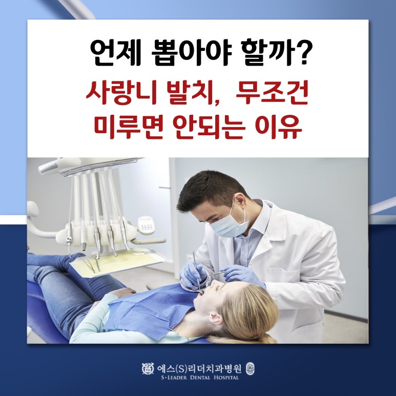 [Myeonmok Station Dental Clinic] When Should It Be Removed? Why Wisdom Tooth Extraction Should Not Be Put Off image 1