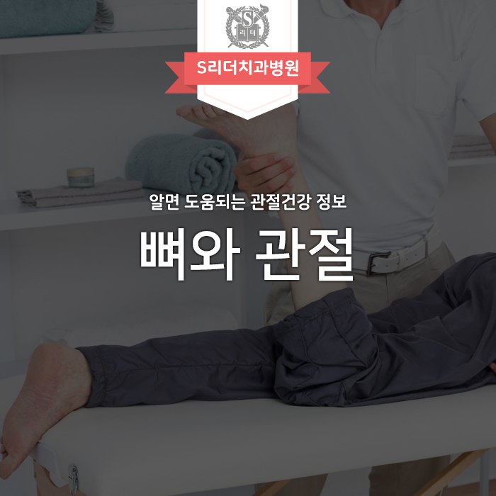 뼈와 관절 다양한 정보 알아볼까요? 관련 이미지 1