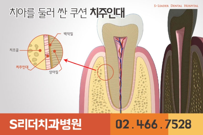 광진구교정치과 교정할때의 통증... 관련 이미지 3