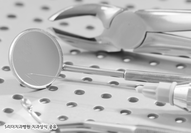 송곳니 역할은 무엇일까? 송곳니의 중요성! 관련 이미지 3