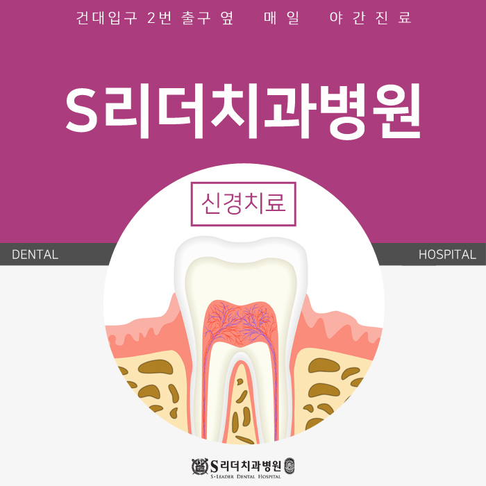 광진구신경치료 왜 오래걸리나요?에 대한 답변 관련 이미지 1