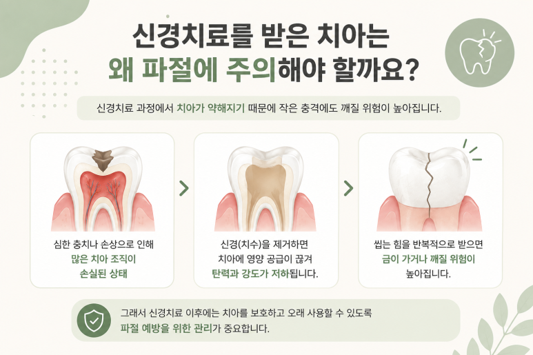 자양동치과, 신경치료를 했는데 왜 크라운까지 해야 할까요? 관련 이미지 3