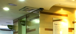 능동치과 치아소실과 만성통증, 전신질환과 관련해 관련 이미지 16