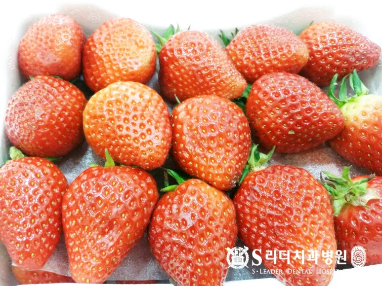 딸기효능 딸기먹고 건강챙기고 관련 이미지 3