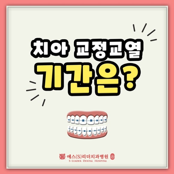 치아교정기간 성인발치 등 영향을 주는 것은 관련 이미지 3