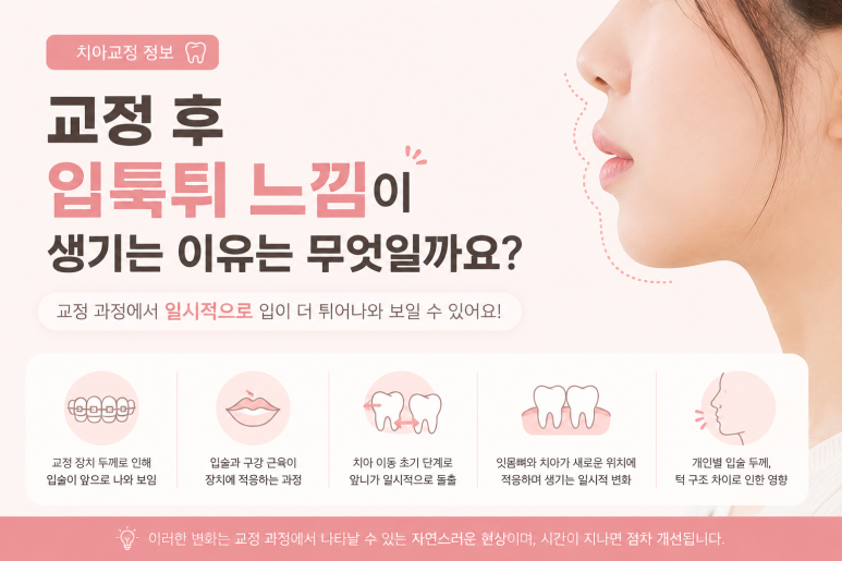 Gunja-dong Dental Clinic: When Does the Protruding-Mouth Appearance Start to Change After Orthodontic Treatment? image 2
