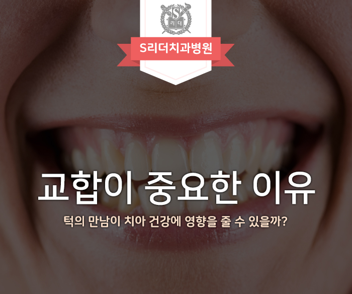 교합의 중요성, 치아 건강에도 영향을 줄까? 관련 이미지 1