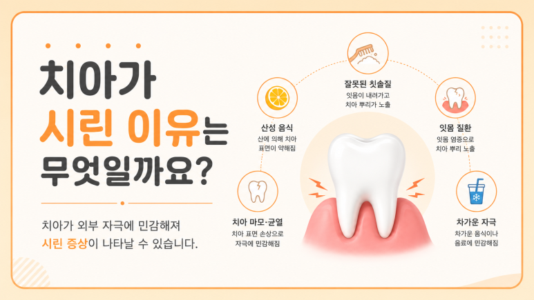 Tooth Sensitivity After Scaling? Could It Be a Sign That You Need Gum Treatment? | 서울야간치과 에스리더치과병원 image 2
